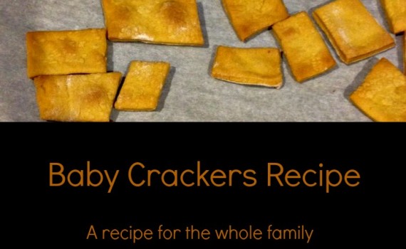 leftover baby food, baby cracker recipe