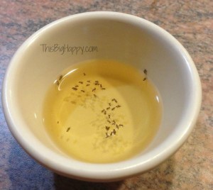 Get rid of fruit flies naturally